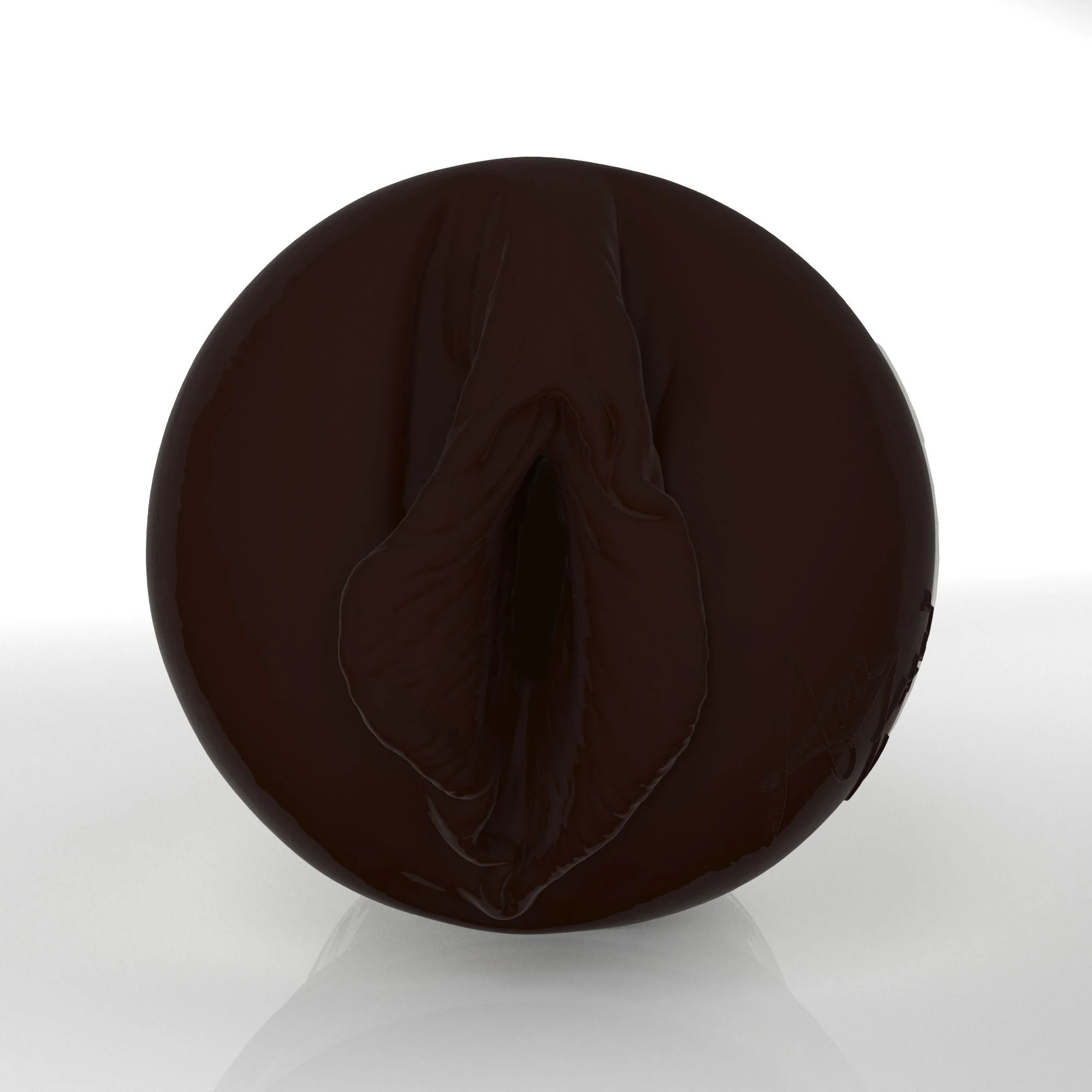 Ana Foxxx X3 2026 Edition Fleshlight - Image 3