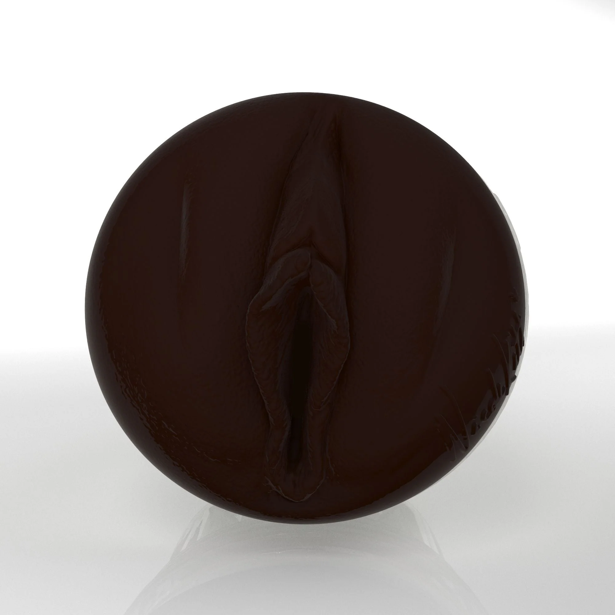 Nicole Kitt X3 2026 Edition Fleshlight - Image 3