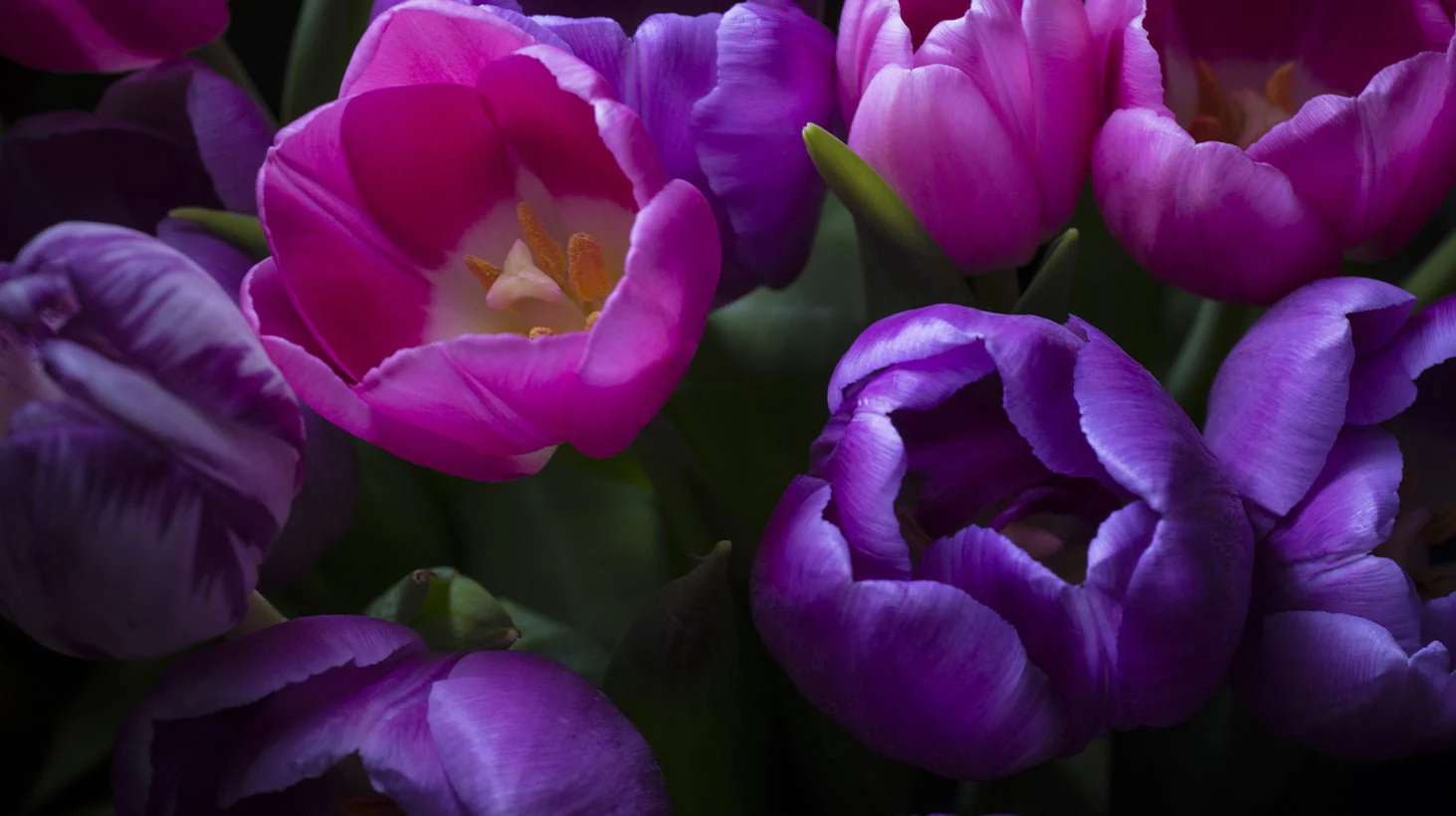 Tulip Bloom G-spot Wand Vibrator - Image 4